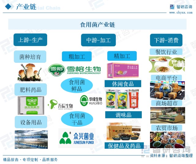2022年中国食用菌行业全景速览 加快食用菌工厂化进程，进一步提高行业集中度
